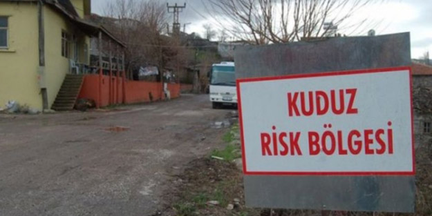 Denizli'de kuduz karantinası