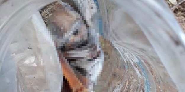 Denizli'de naylon bidon içinde bebek cesedi bulundu