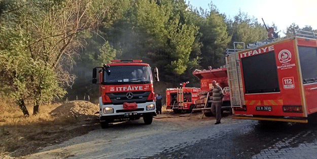 Denizli'de orman yangını çıktı