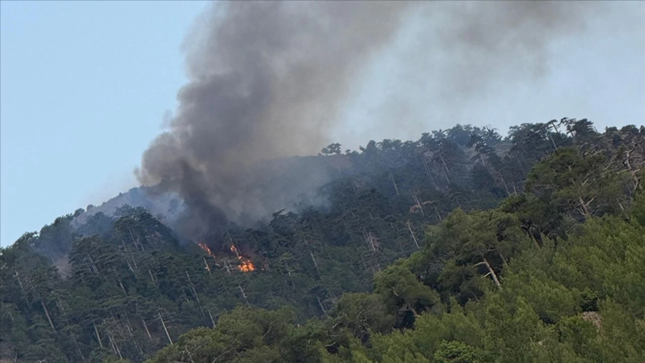 Denizli'de orman yangını çıktı!