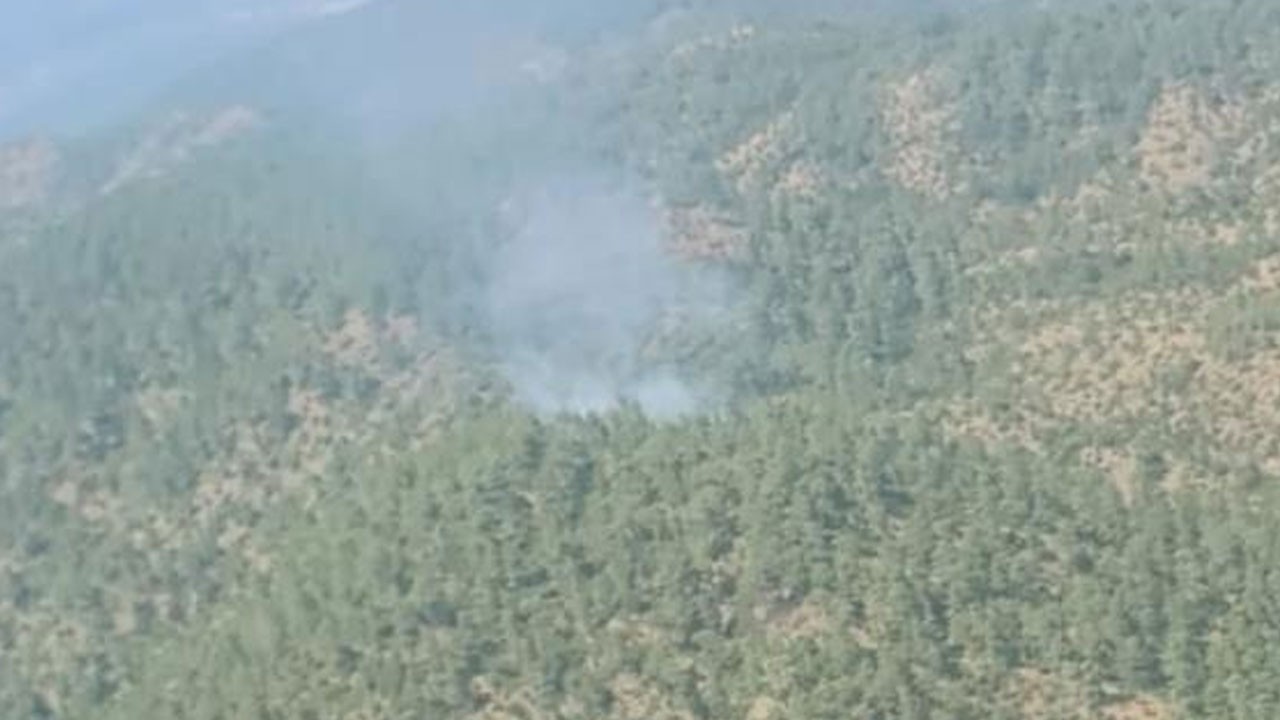 Denizli'de orman yangını