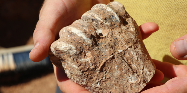 Denizli'de öyle bir tarih fışkırdı ki, görenler gözlerine, duyanlar kulaklarına inanamadı...