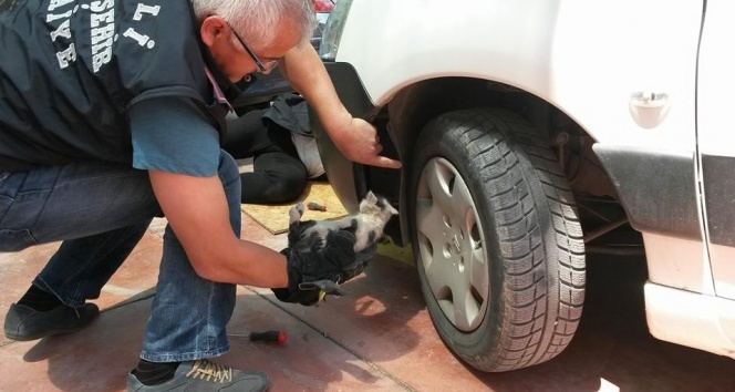 Denizli'de radyatör pervanesine sıkışan kediyi itfaiye kurtardı