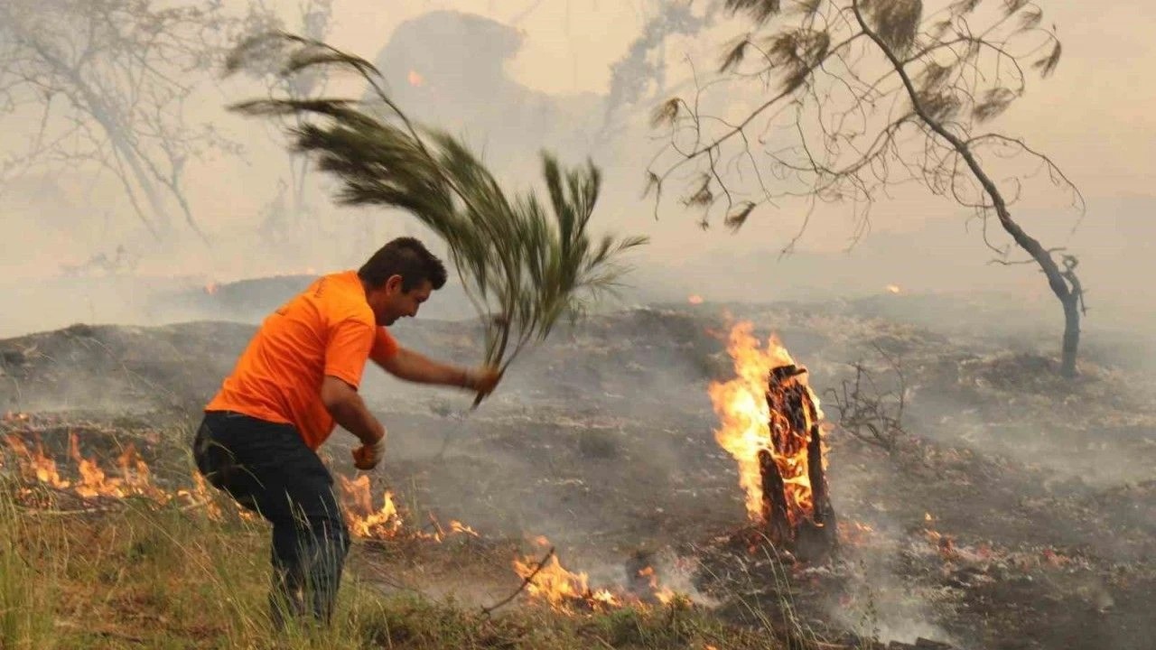 Denizli’de yıldırım dehşeti! 2 ayrı noktada yangın çıktı