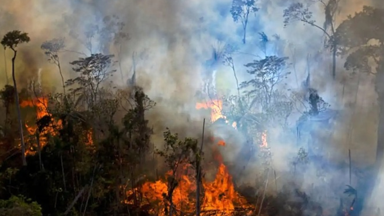 Denizli'deki orman yangını sürüyor