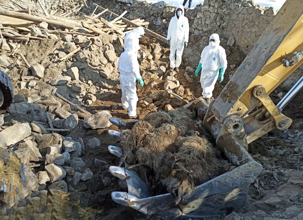 Deprem bölgesinde çalışmalar devam ediyor 