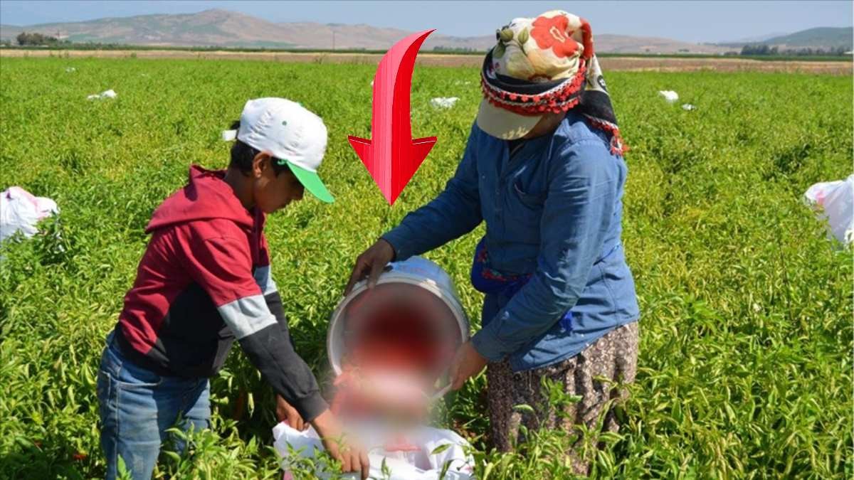 Deprem meprem dinlemediler, bunu satıp milyon dolarlar kazandılar! Amerika’dan Almanya’ya kadar tam 25 ülke peşinde! Siz ne yaptınız böyle