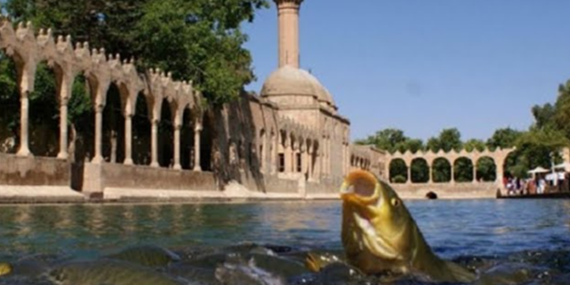 Depremde kaybolan Balıklıgöl'deki balıklarla ilgili şok rivayet! Dokunanların başına bakın ne geliyor