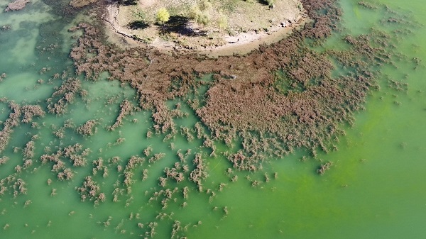 Depremde zemin sıvılaşması yaşanmıştı! Bu görüntü herkesi korkuttu