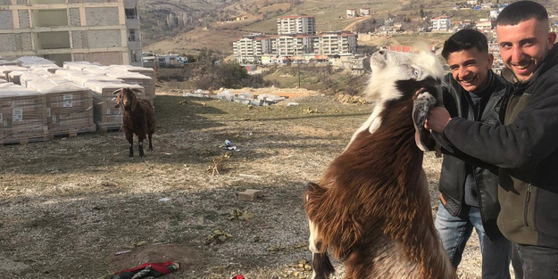 Depremden 21 gün sonra enkazdan canlı çıkarıldılar
