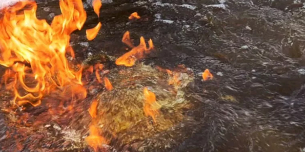 Depremden sonra başladı! Düzce Gölyaka'da şaşkına çeviren olay