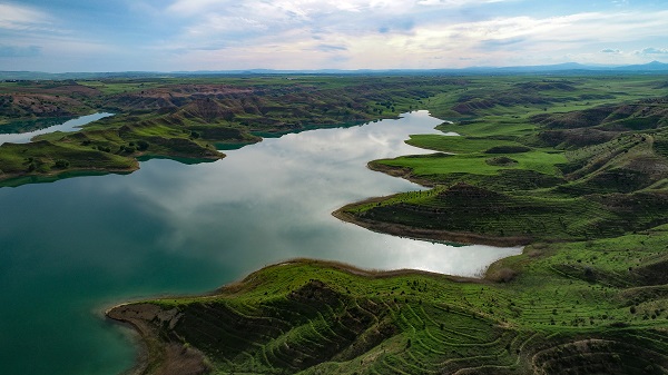 Depremden sonra herkes akın ediyor!