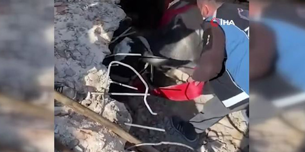 Depremin 17. gününde enkaz altından bir inek canlı çıkarıldı