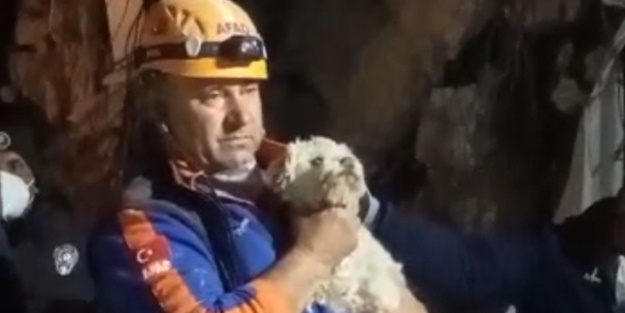 Depremin 25. günü! Enkazdan bir köpek canlı çıkarıldı
