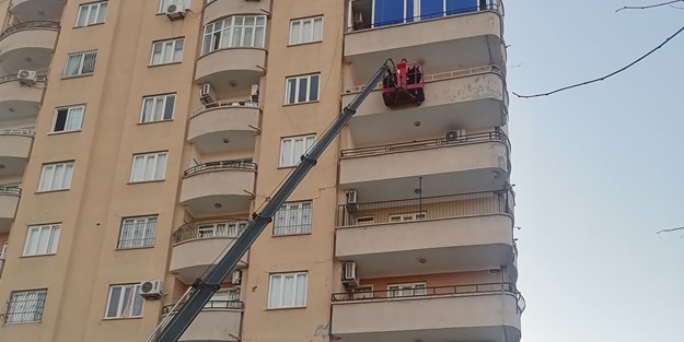 Depremin 8'inci gününde hasar gören apartmanda mahsur kalan kedi kurtarıldı