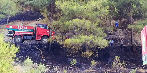 Depremin vurduğu Hatay'da orman yangını kontrol altına alındı