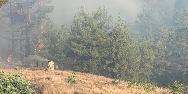 Depremin vurduğu Kahramanmaraş’ta korkutan orman yangını!
