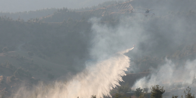 Depremin vurduğu Kahramanmaraş'ta orman yangını
