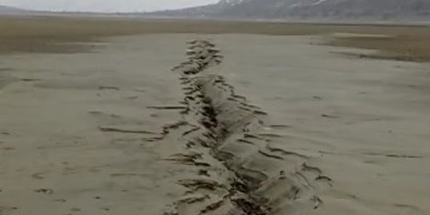 Depremler sonrası uzmanları şaşırtan görüntü!