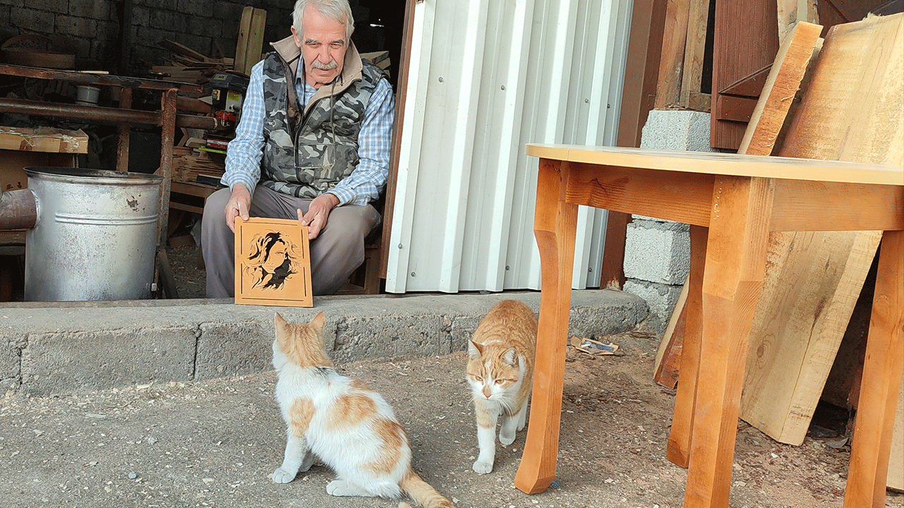 Depremzede kedilere kucak açtı! Esnafın büyük yüreği