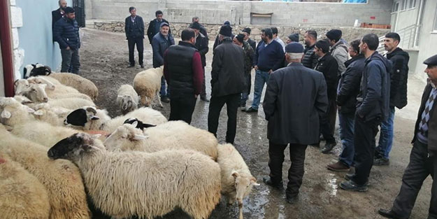 Depremzedeler için açık arttırma