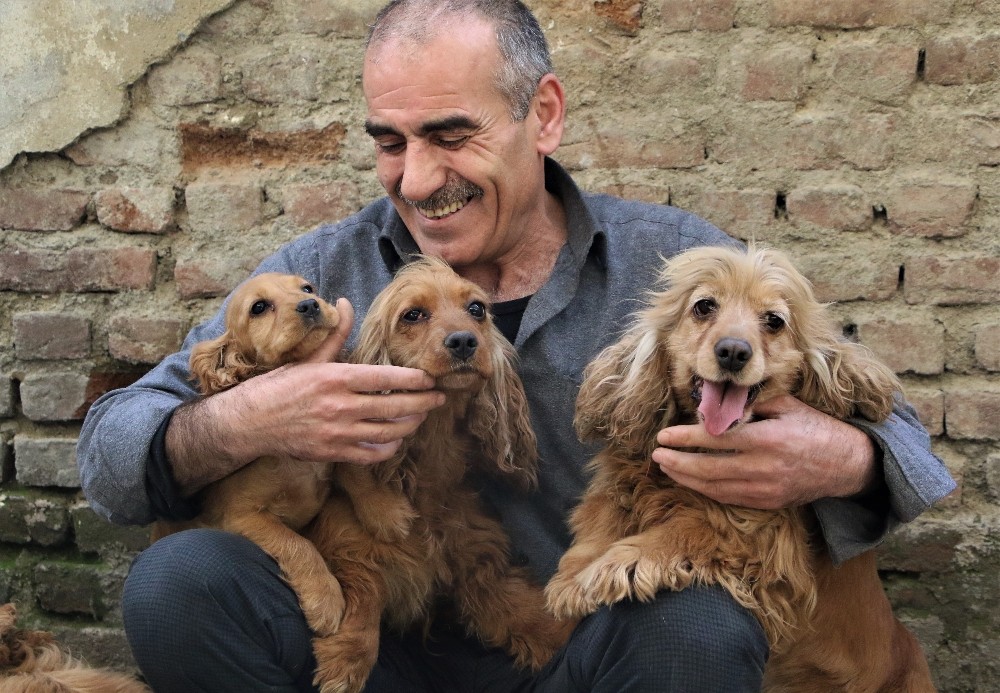 Depremzedenin köpek sevgisi, onlardan ayrılamıyor 
