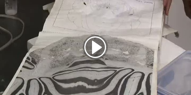 Depresyonu yenen molekül bulundu