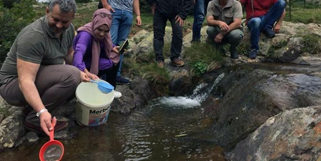 Dere gözlerine 100 binin üzerinde alabalık salımı yapıldı
