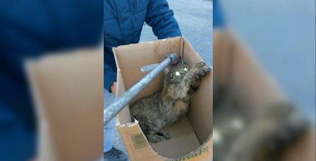 Derede mahsur kaldı, itfaiye kurtardı