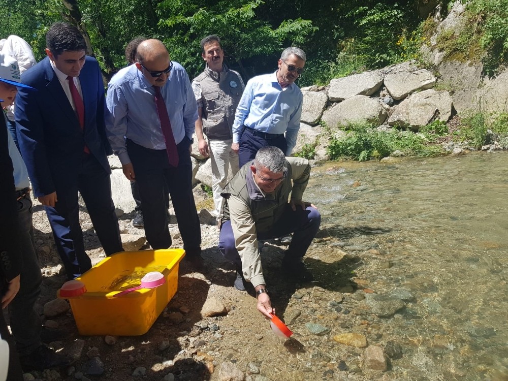 ’Dereleri kirletme, balıkları öldürme’ etkinliği ile Solaklı Deresi’ne balık bıraktılar 