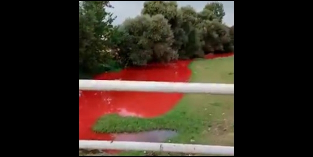 Derenin rengi kıpkırmızı oldu! Şoke eden görüntünün ardından devlet anında harekete geçti