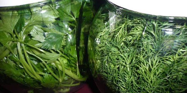 Dereotu ve maydanozu birlikte yerseniz...