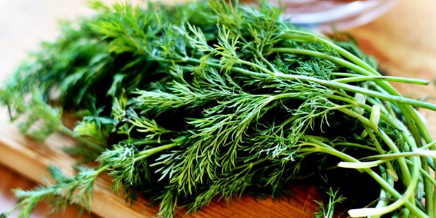 Dereotunun kıymeti iyi bilinmeli..