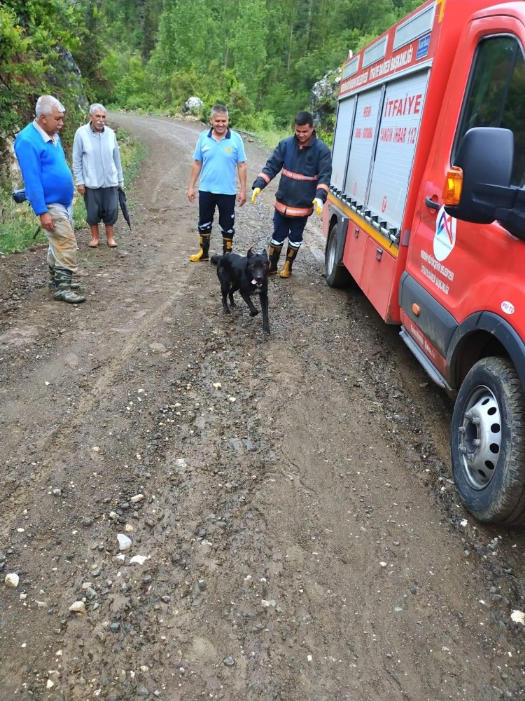 Dereye düşen köpeği itfaiye kurtardı 