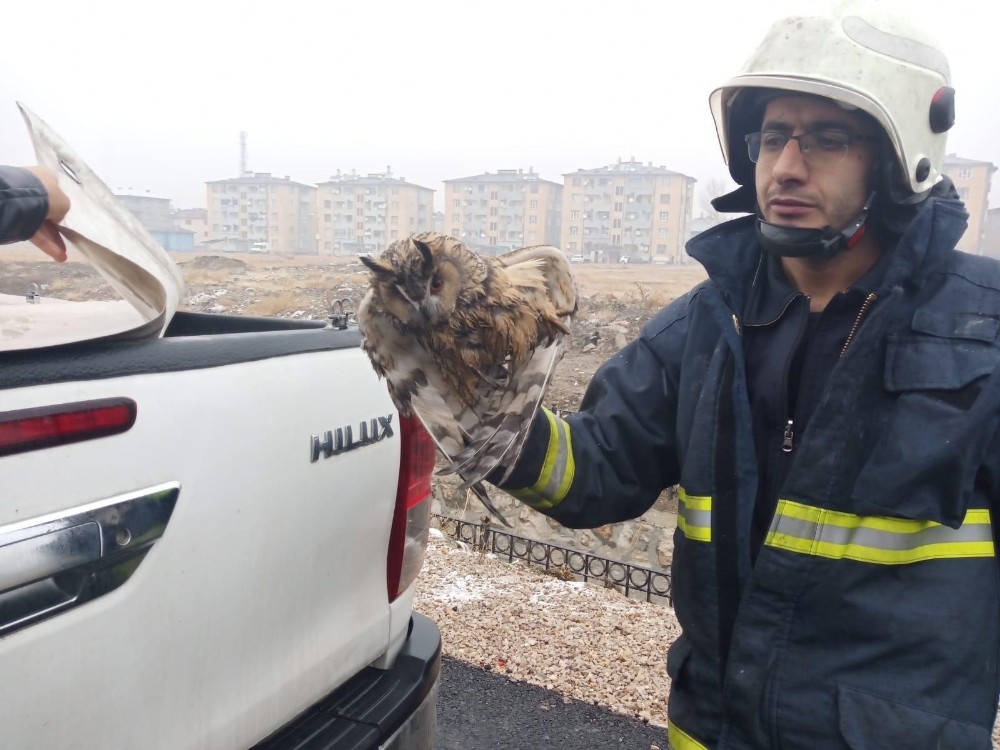 Dereye düşen yaralı Baykuş‘u itfaiye kurtardı 