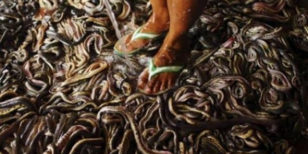 Deri ürünler işte böyle üretiliyor