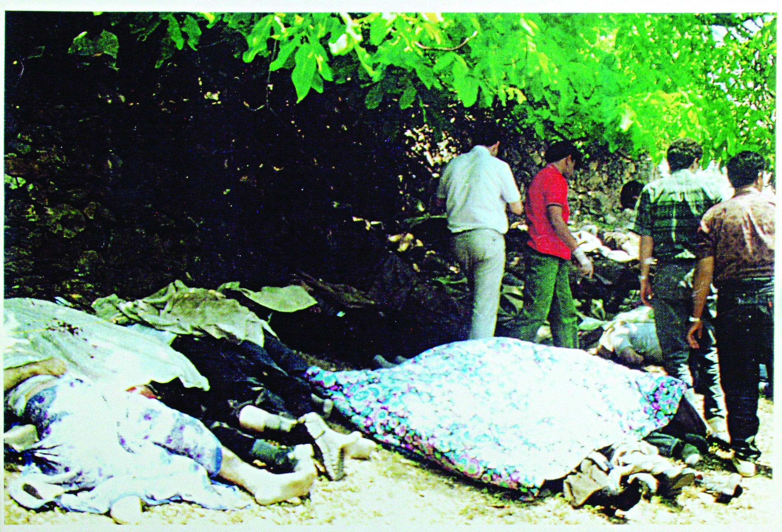 Derin devlet-PKK organizasyonu