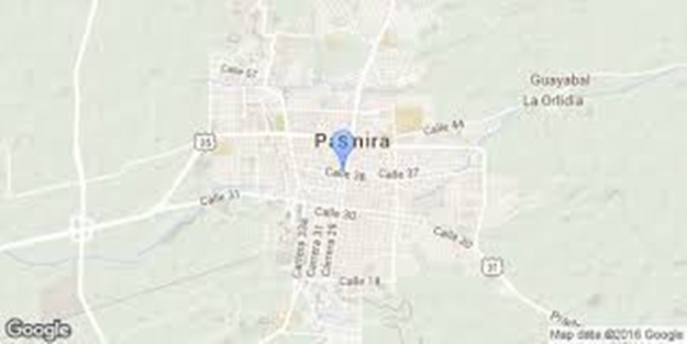 Katil Suriye Ordusu Palmira'ya girdi