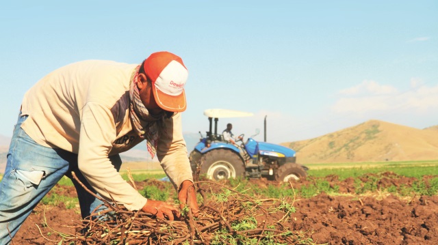 Destek ödemesi başladı