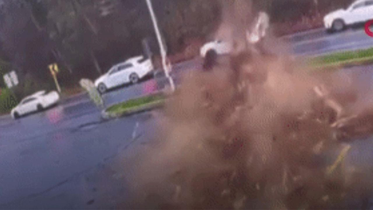 Dev ağaç böyle devrildi! Sürücü son anda kurtuldu!