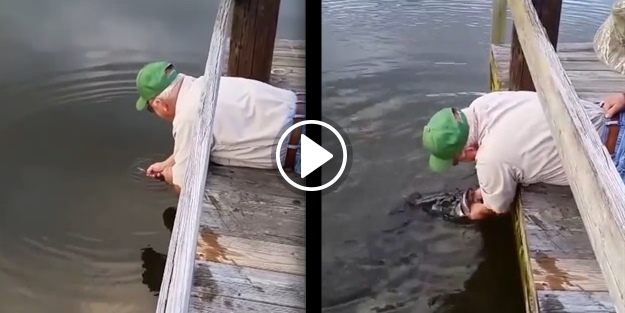 Dev balığı eliyle avladı