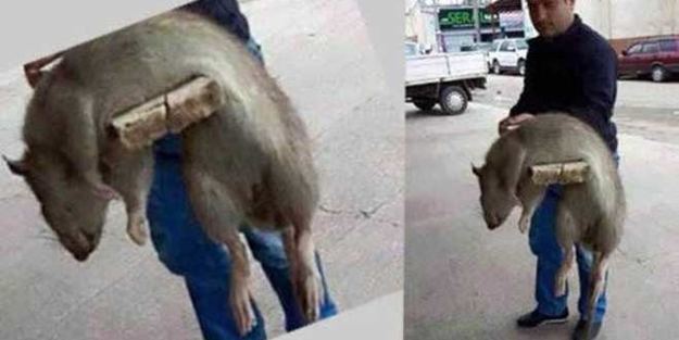 Bunu görünce gözlerinize inanamayacaksınız!