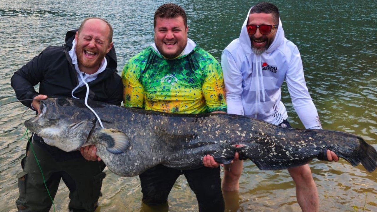 Dev göl canavarları! Her biri 100 kilo