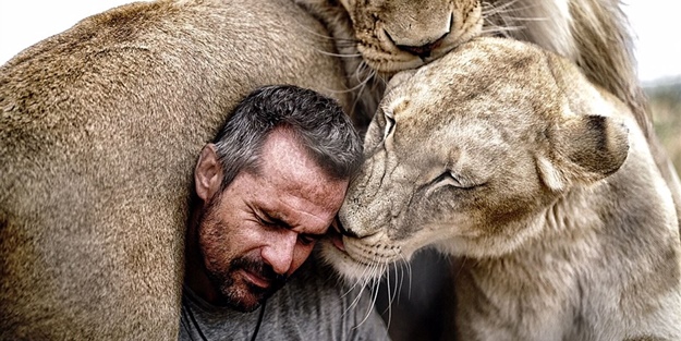 Dev kedilerle yakınlığı görenleri korkutuyor!