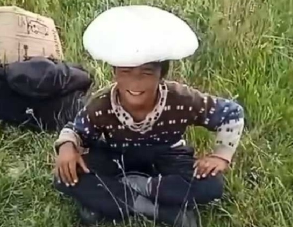 Dev mantarlar ilgi odağı oldu