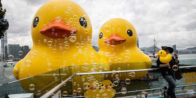 Dev ördek Hong Kong'a geri döndü