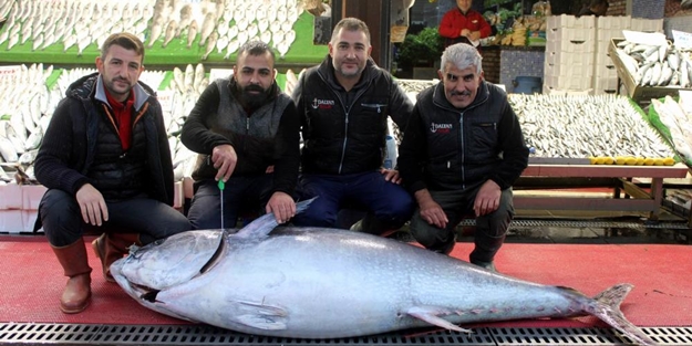 Dev orkinos ilgi odağı oldu