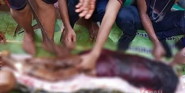 Dev piton yaşlı kadını canlı canlı yedi!