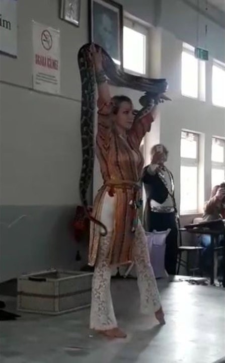 Dev pitonla yapılan gösteri korkuttu 