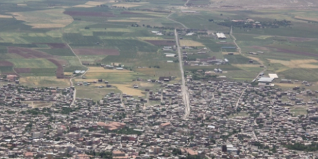 Dev şirket Diyarbakır'da 7 bin dönüm arazi kiraladı! 29 yıllık anlaşma imzalandı, bakın ne yapacaklar